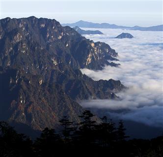 醉享之旅——神农架四飞五日深度品质游