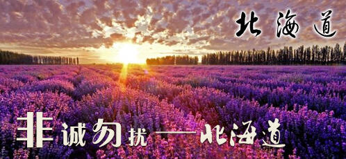 日本-北海道非诚勿扰