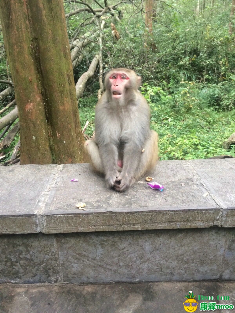 张家界、凤凰古城旅游图