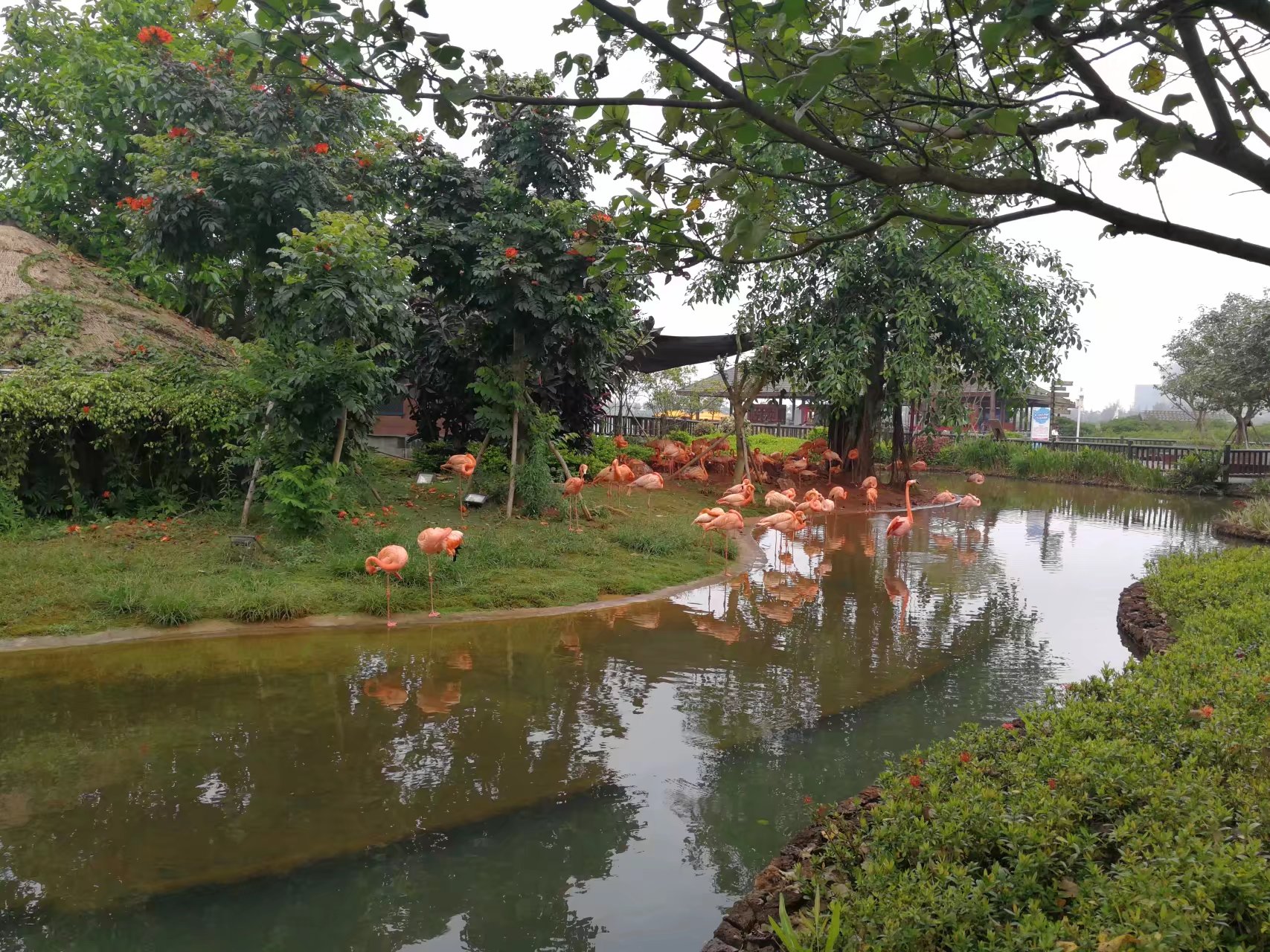 红树湾湿地公园