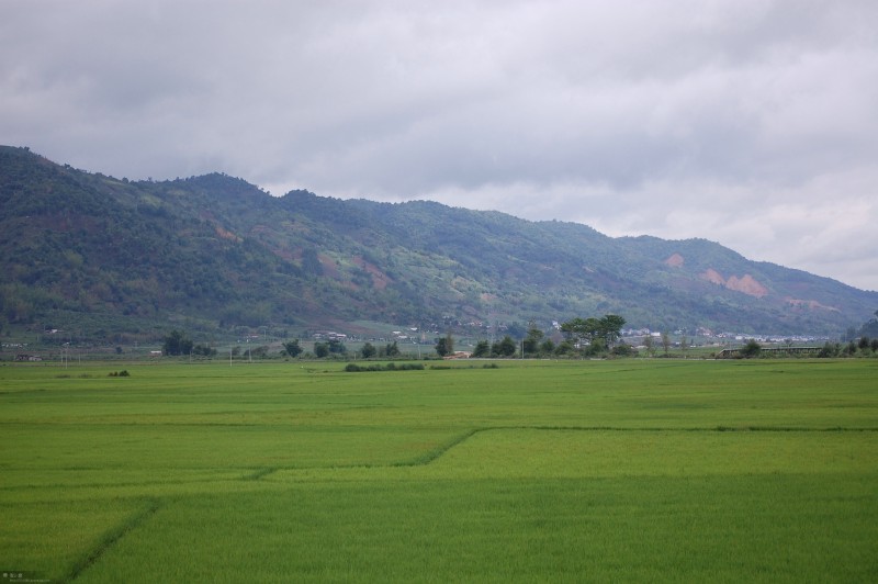 西双版纳风景3