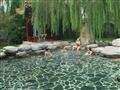 商务会议旅游 深圳去北京地道温泉