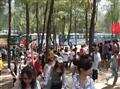 深圳西冲游玩 深圳南澳西冲旅游 西冲沙滩游玩 南澳旅游 西冲一日游 深圳西冲旅游