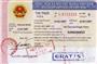 越南签证图片