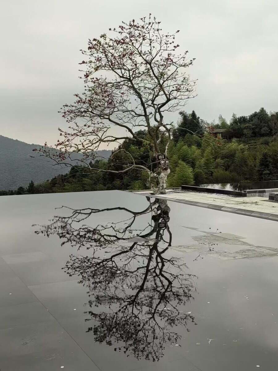 【跨省游】世界客都之地深度江西龙南纯玩3天