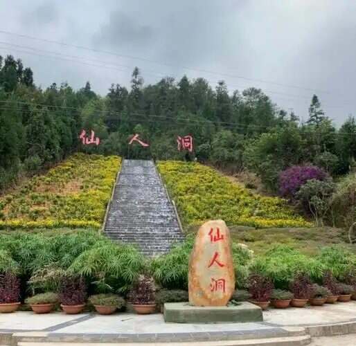 广州往返高州仙人洞避暑纯玩3天