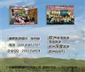 【维多利亚】香港-冲绳-济州-上海6天5晚