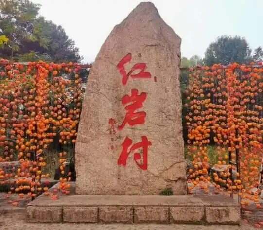广州往返广西恭城+银杏汽车纯玩3天