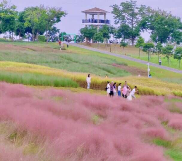 广州往返-中山深圳秋日纯玩1天