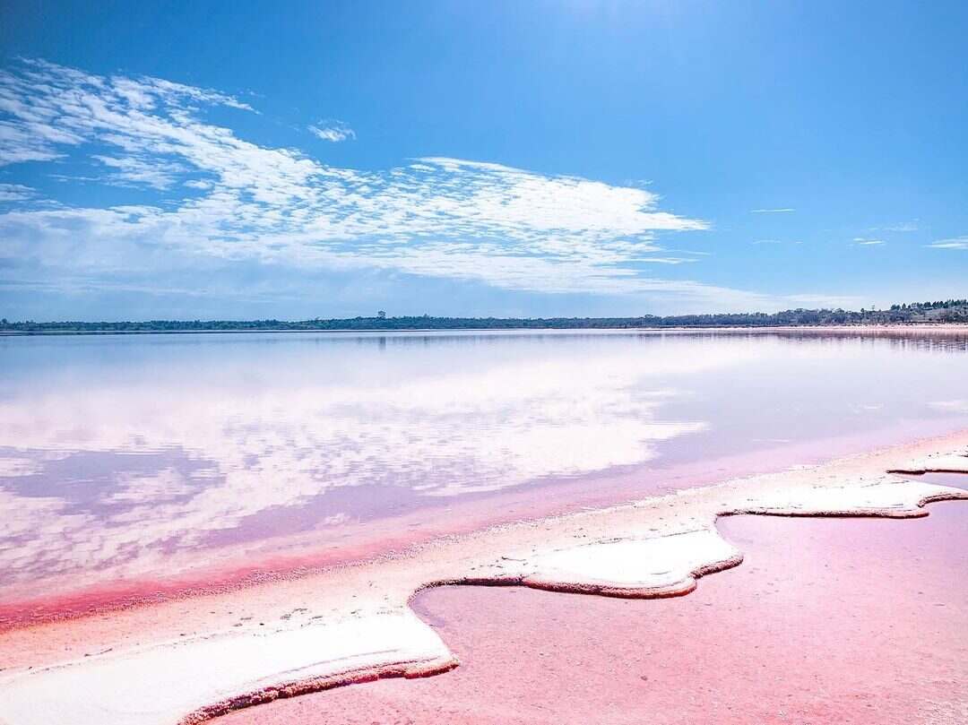 绝色西澳珀斯纵横·海豚巡游·粉湖秘境9天CZ11